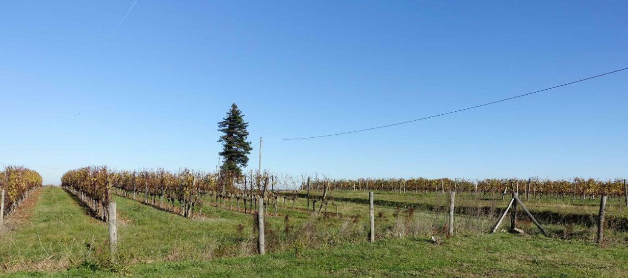 Le Clos De La Chataignere Villa Vérac Buitenkant foto